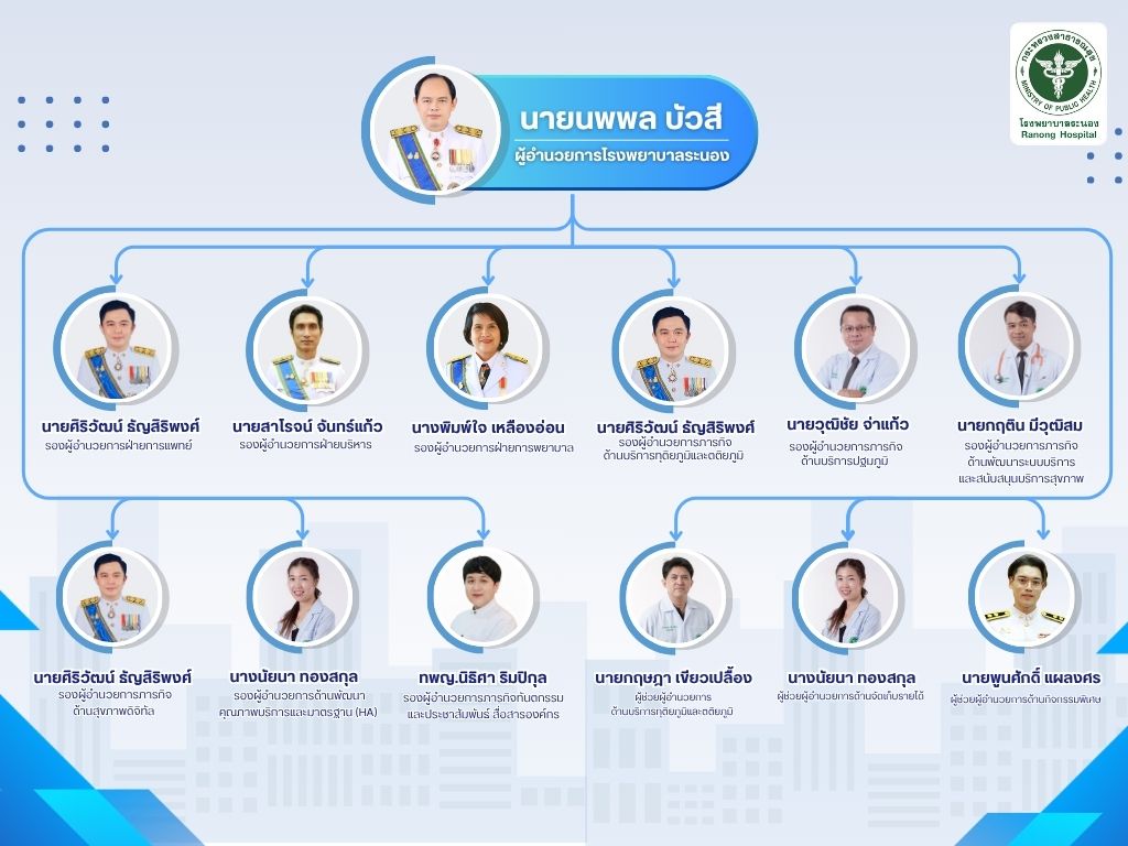 Blue and White Modern Organizational Chart Graph 7