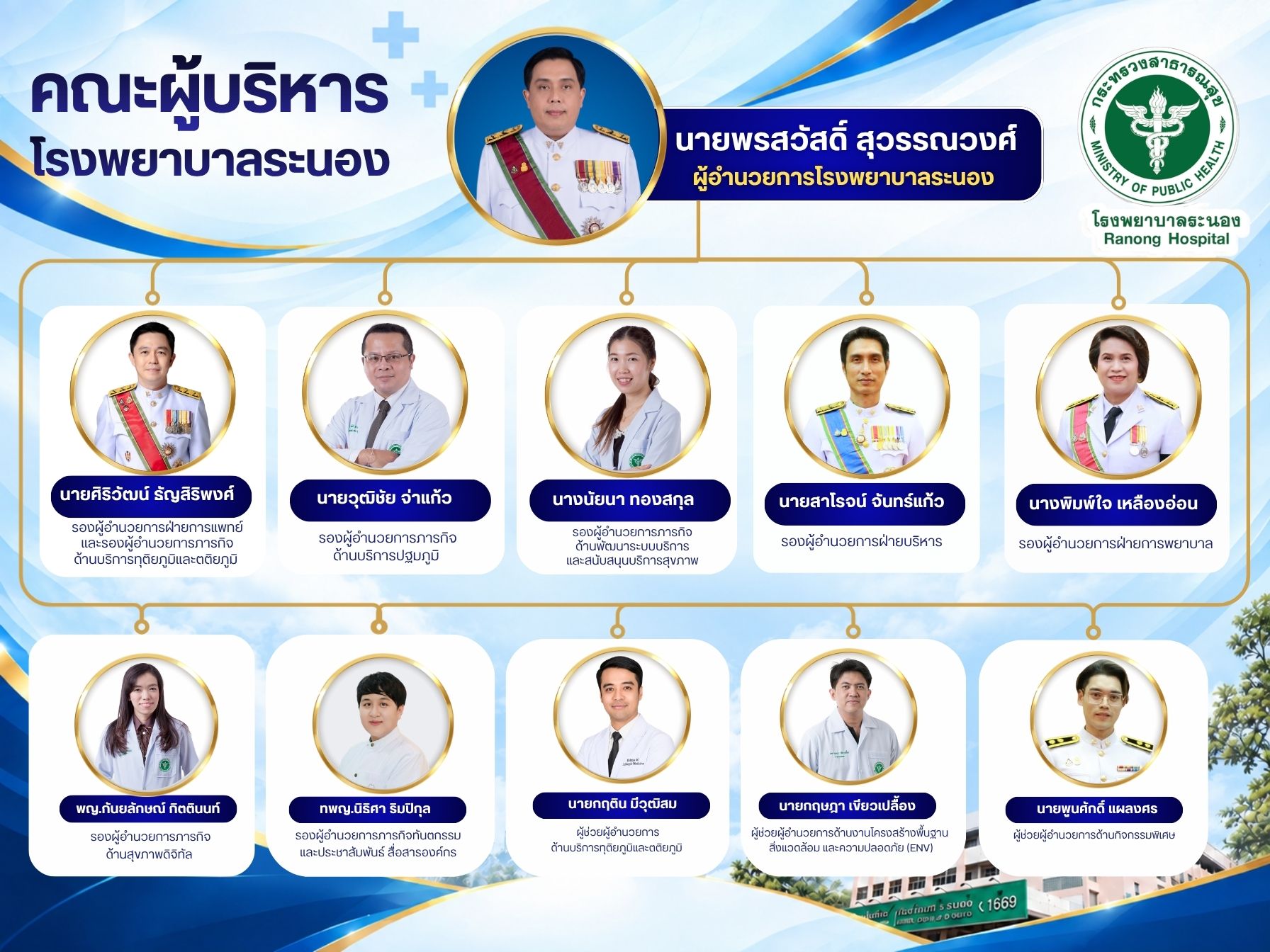 Blue and White Modern Organizational Chart Graph 16